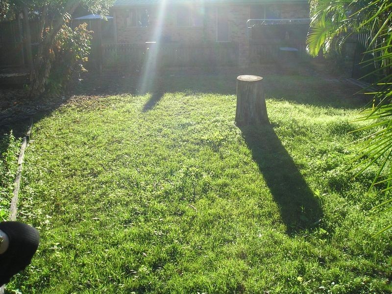 15 Lina Street, Morayfield QLD 4506