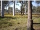 156 Boden Rd, Elimbah QLD 4516