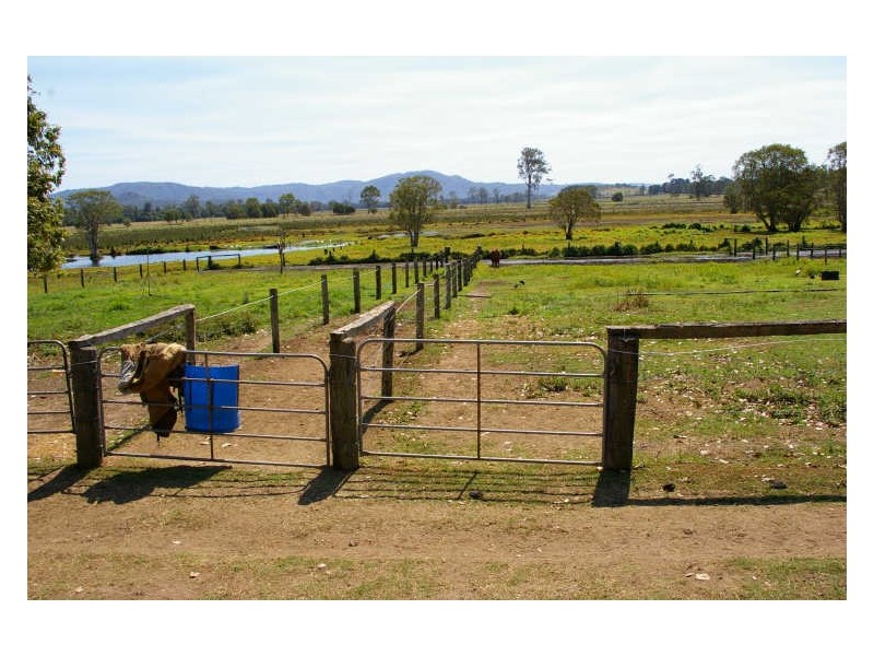 Stanmore QLD 4514