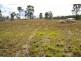 Morayfield QLD 4506