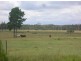 Caboolture QLD 4510