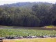 Wamuran QLD 4512