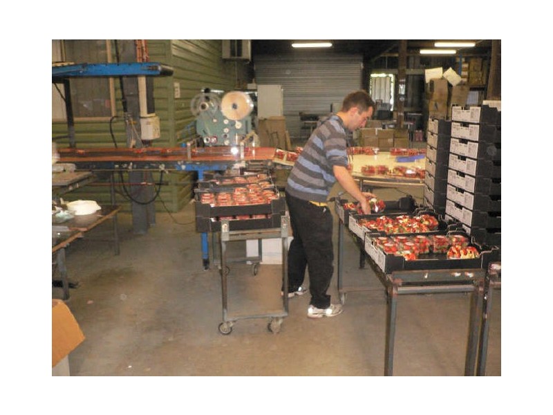 Wamuran QLD 4512