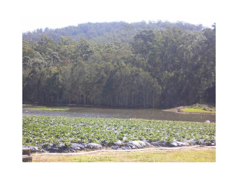 Wamuran QLD 4512