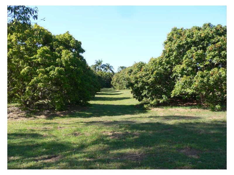 Caboolture QLD 4510