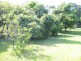 Morayfield QLD 4506