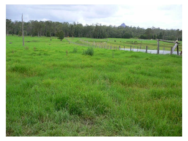 Woodford QLD 4514