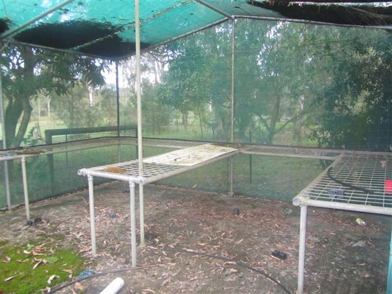 4 Gregor Court, Upper Caboolture QLD 4510