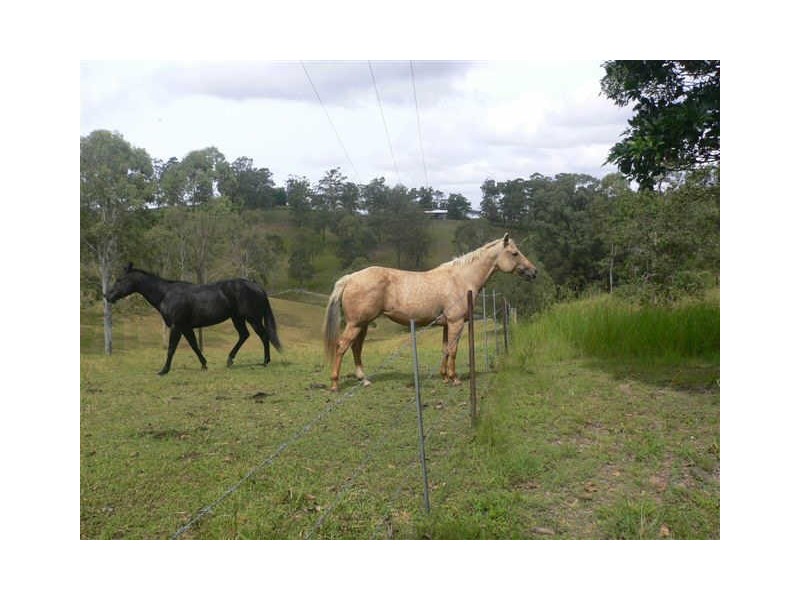 Campbells Pocket QLD 4521