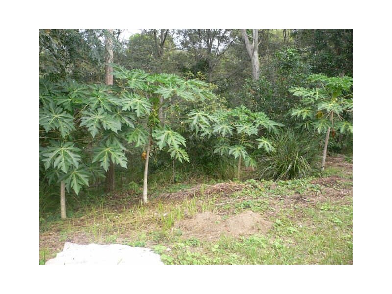 Campbells Pocket QLD 4521