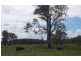 Beachmere QLD 4510