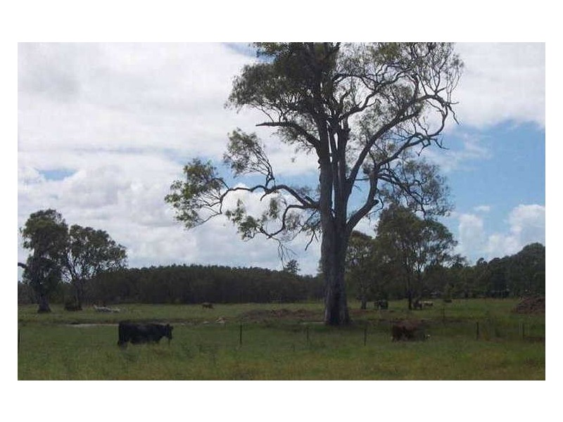 Beachmere QLD 4510