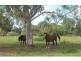 Beachmere QLD 4510