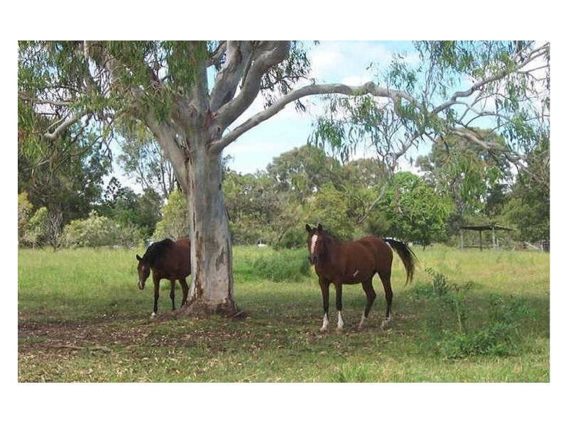 Beachmere QLD 4510