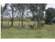 Beachmere QLD 4510