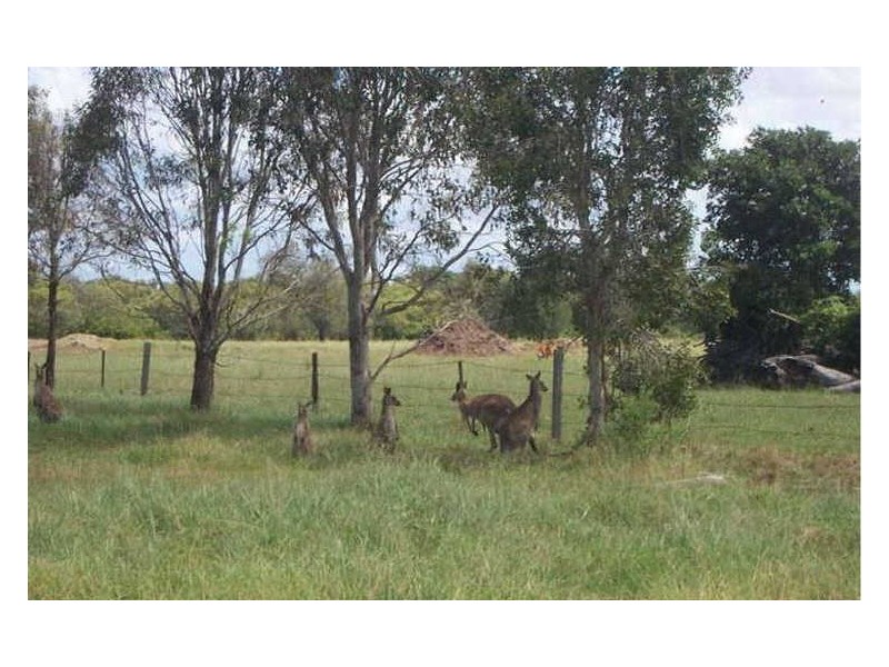 Beachmere QLD 4510