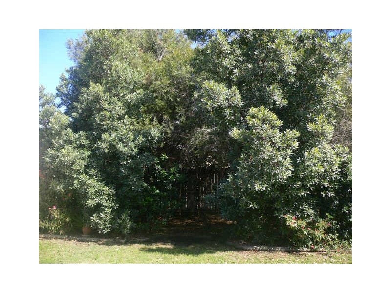 Caboolture South QLD 4510