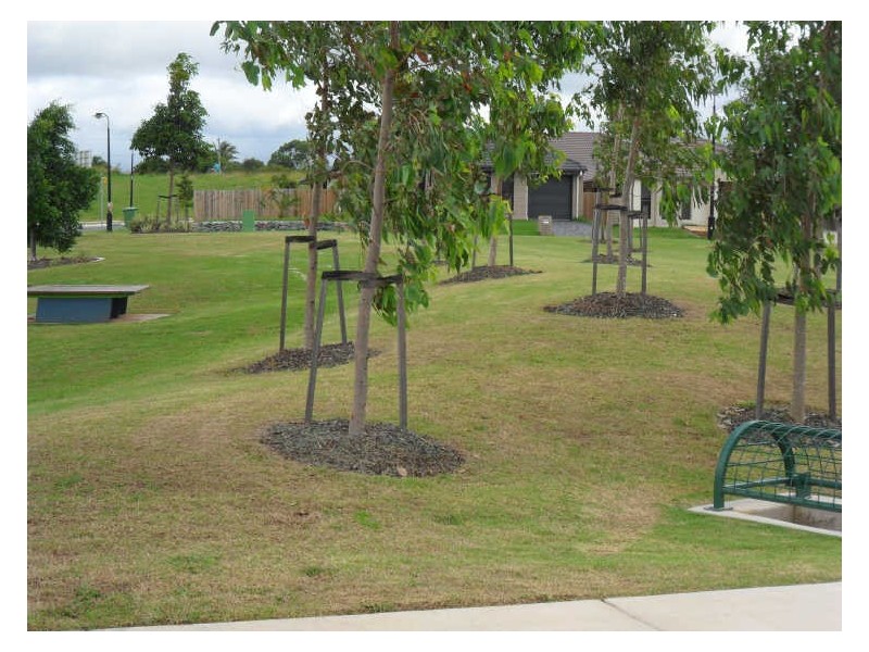 Griffin QLD 4503