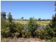 Sandstone Point QLD 4511