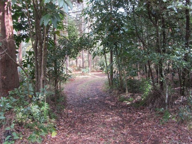 1024 Beerburrum Road, Elimbah QLD 4516