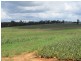 Wamuran QLD 4512