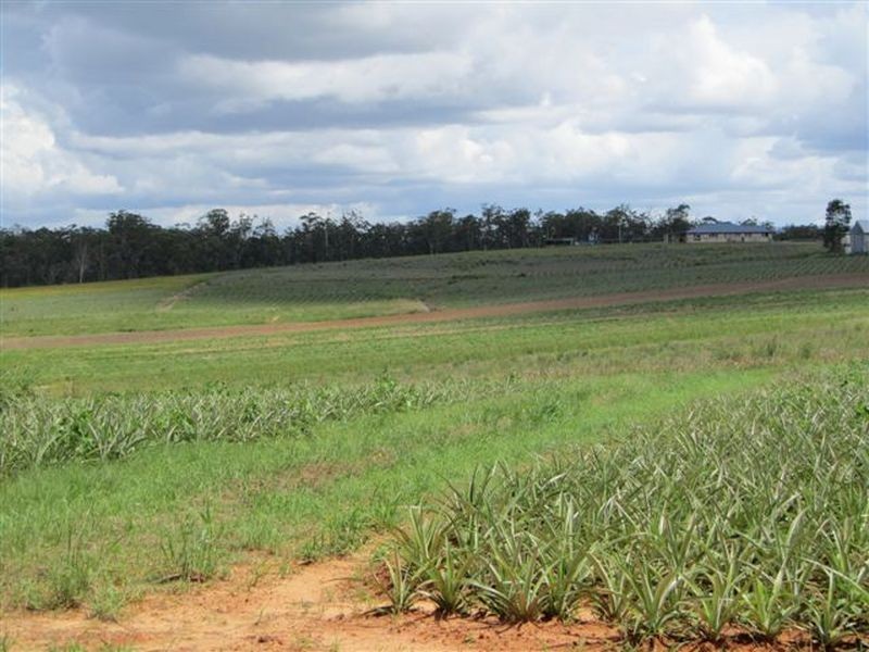 Wamuran QLD 4512
