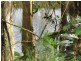 Wamuran QLD 4512