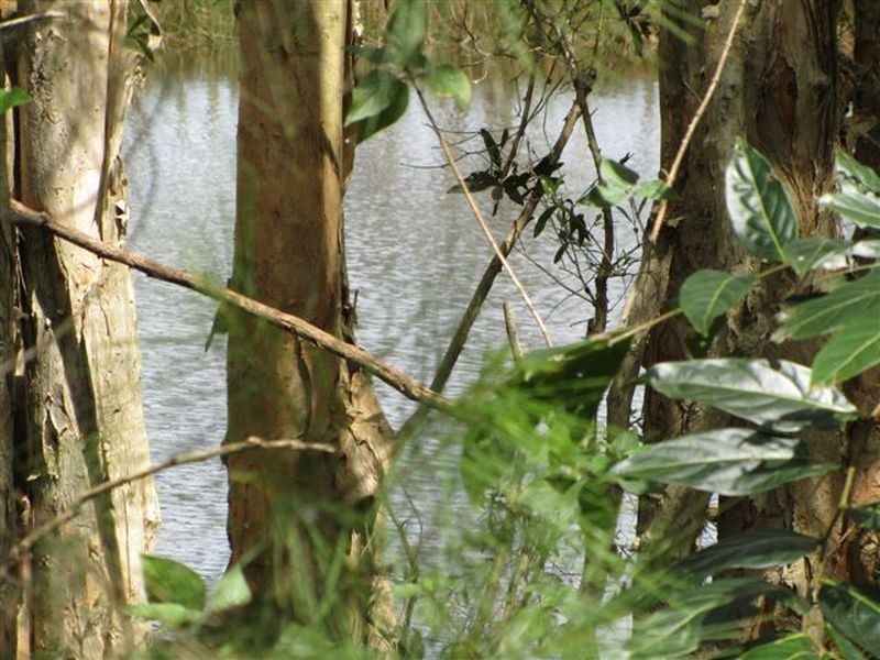 Wamuran QLD 4512