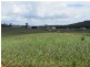 Wamuran QLD 4512
