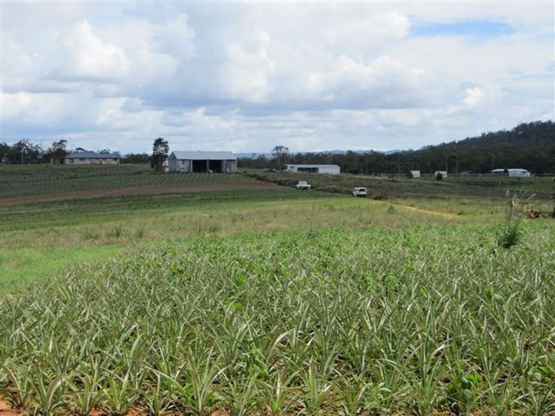 Wamuran QLD 4512