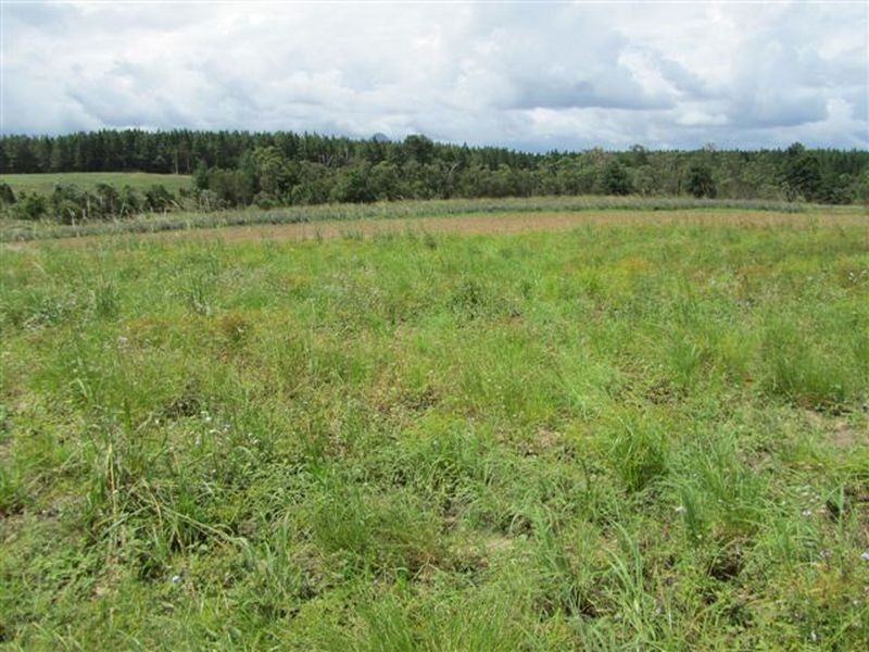 Wamuran QLD 4512