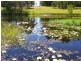 Upper Caboolture QLD 4510