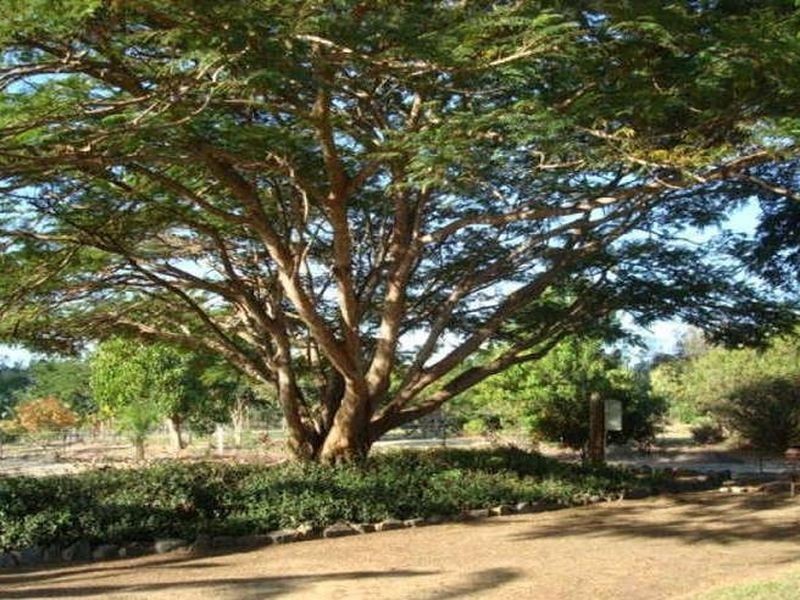 Wamuran QLD 4512