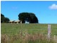 Wamuran QLD 4512