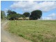 Wamuran QLD 4512
