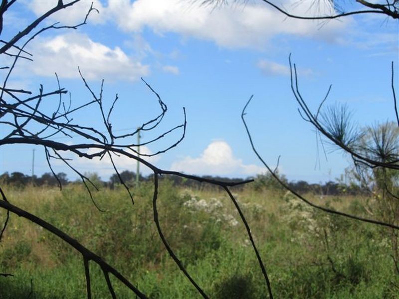 Caboolture QLD 4510