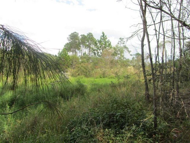 Caboolture QLD 4510