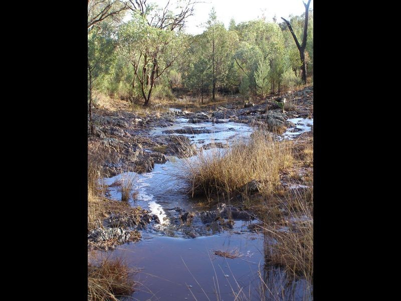 Lot 93 Inglewood Rd, Texas NSW 4385