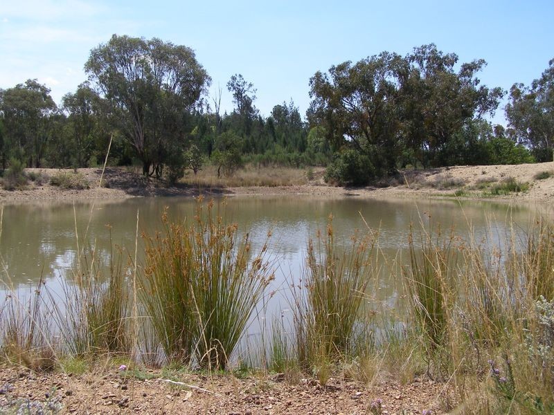 Lot 93 Inglewood Rd, Texas NSW 4385