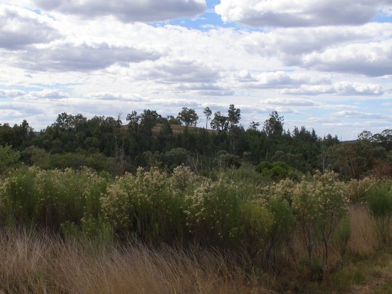 Lot 93 Inglewood Rd, Texas NSW 4385