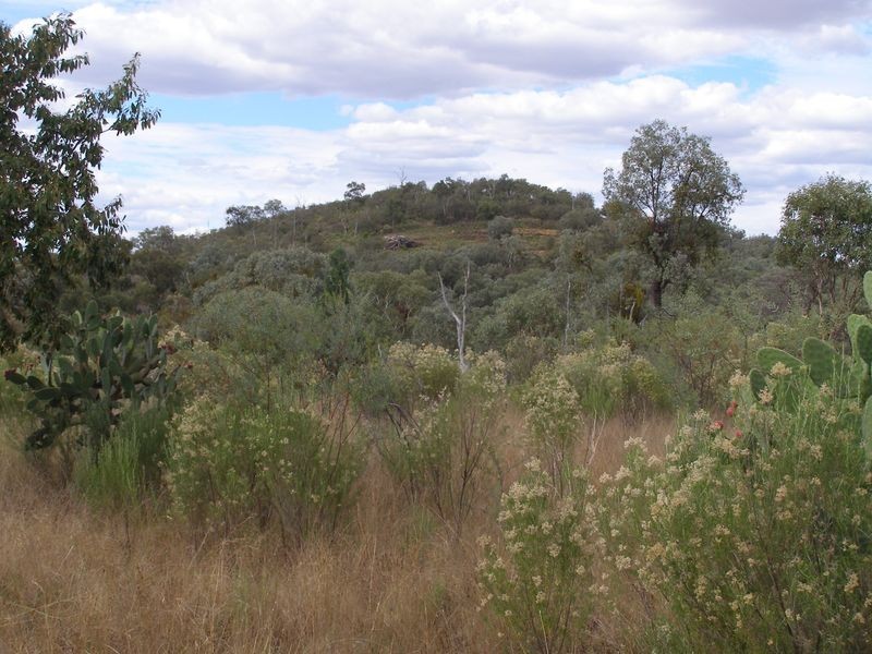 Lot 93 Inglewood Rd, Texas NSW 4385