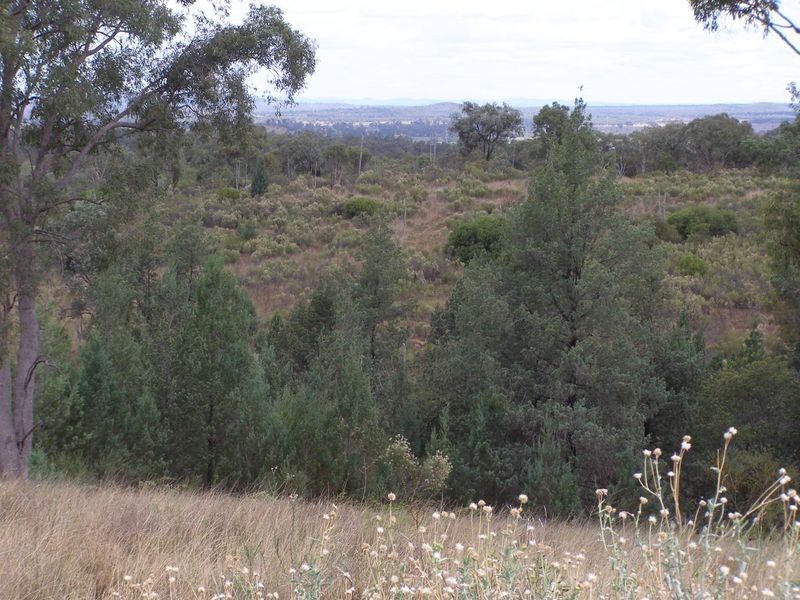 Lot 93 Inglewood Rd, Texas NSW 4385