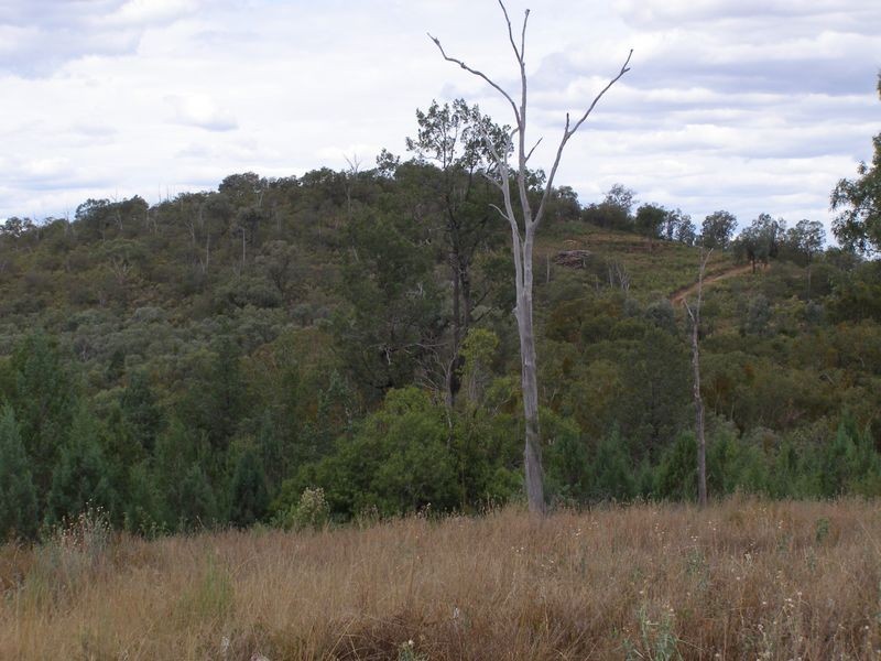 Lot 93 Inglewood Rd, Texas NSW 4385