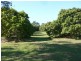 Caboolture QLD 4510