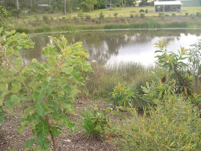 Upper Caboolture QLD 4510