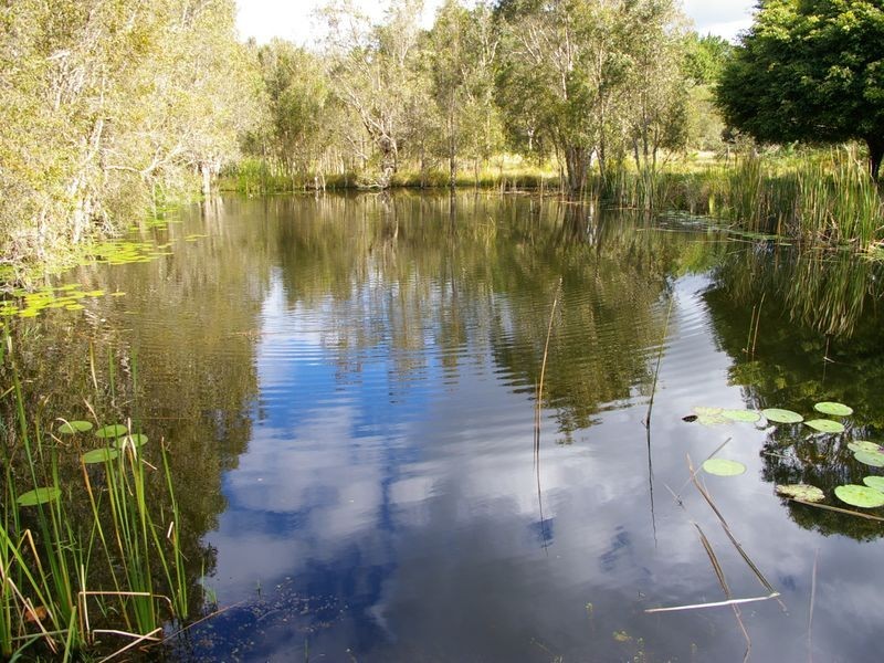 Beachmere QLD 4510