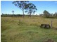 Beachmere QLD 4510
