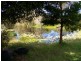 Beachmere QLD 4510