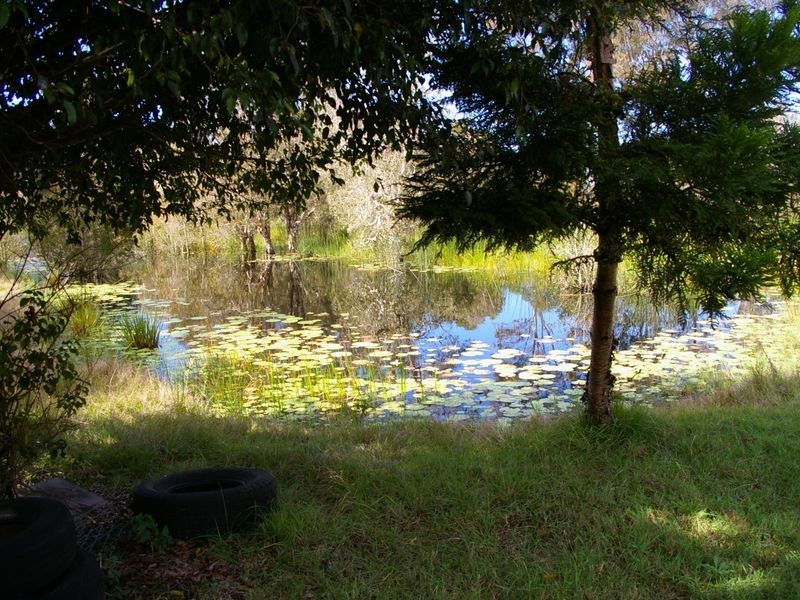 Beachmere QLD 4510
