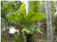 Beachmere QLD 4510